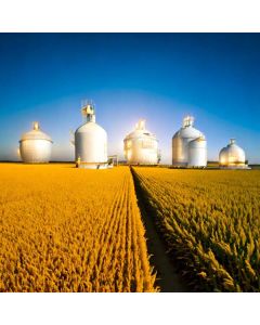 1002 corn gas thinner perspective and the foresigh…