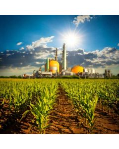 1005 corn gas central perspective and the foresigh…