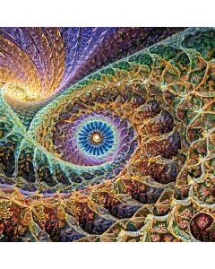12 a fractal is the opposite of a worm hole. (a+m2…