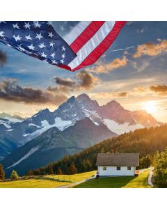 1706 immigrated income revenue service is a servic…