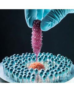 88 to seek find and replace recolonize organ speci…